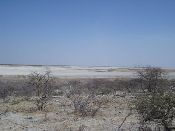 Dry_Mopipi_dam_J_Atlhopheng.jpg.jpg