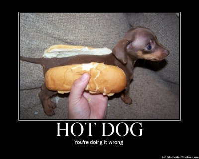 633619829397386136-hotdog.jpg