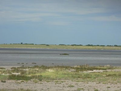 Boteti_-_evidence_of_overgrazing_around_a_pan_-_R_Chanda_Feb_2009.jpg