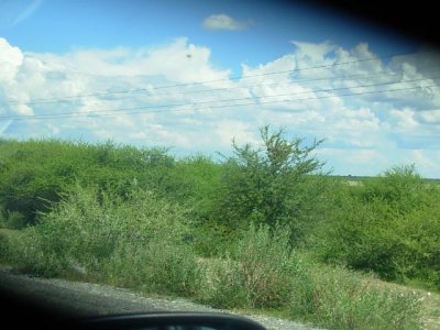 Bush_encroachment_close_to_Mopipi_village_R_Chanda_Feb2009.jpg