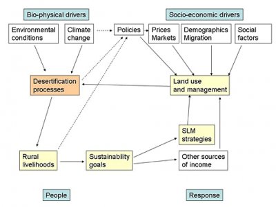 Conceptual-framework-for-DE.gif