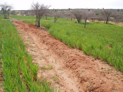 Contour ploughing.jpg