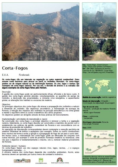 Corta-fogos.jpg