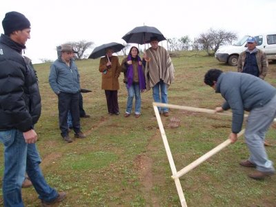 Farmers in Cauquenes.jpg