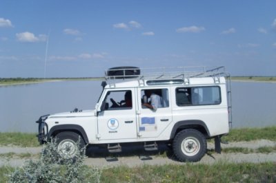Fieldwork_in_Boteti_L_Magole__600_x_400_.jpg
