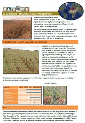 Gully stabilisation summary cover.jpg