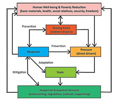 Hybrid-DPSIR-SLM-framework.gif