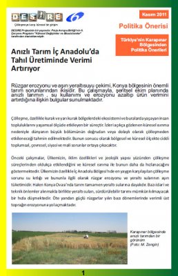 Policy brief Karapinar_TR cover.jpg