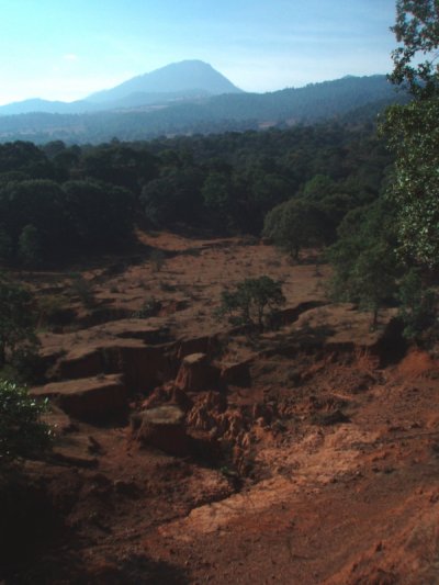 Potrerillos_Uper_watershed_Mixte_forest__erosion_180109_.jpg