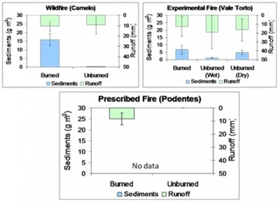 Prescribed fire 6.jpg