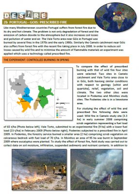 Prescribed fire summary cover.jpg