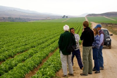 Reed-lettucefarm.jpg