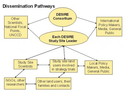 dissemination pathways.jpg