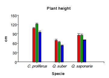 fig1c-2.jpg