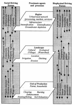 fig3.2a.jpg