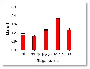 no tillage 6.jpg