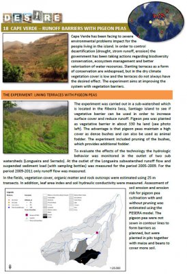 runoff barriers summary cover.jpg