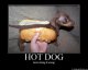 <p>Hot Dog for testing</p>