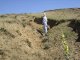 Heavy gully erosion in pastures, Keskin village (© S. Açýkalin)<br>