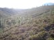 Vale Torto catchment view showing mainly scrub vegetation. (© Rick Shakesby)<br>