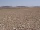 Heavy stoniness due to wind erosion, Samuk village (© S. Açýkalin)<br>