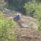 Farmer ploughing his almond field in Sierra de Torrecilla (© Joris de Vente, 2007)