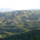 View over the reforestation on terraces in the Sierra de Torrecilla (© Joris de Vente, 2007)