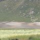 Cereal fields and shrubland on hillslope (© Joris de Vente 2007)