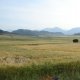 Extended cereal fields (© Joris de Vente 2007)