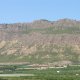 Slopes reforested in the late 1970s, near Alhama de Murcia (© Joris de Vente 2007)