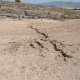 Ephemeral gully development after a rainfall event (© Joris de Vente 2007)