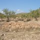 Traditional stone-built terraces with almond trees (© Joris de Vente 2007)