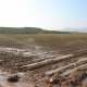 Excessive sprinkling irrigation of a lettuce field in August (© Joris de Vente 2007)