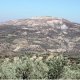 Typical landscape of the study site in Crete covered by olives, vines and pastures in the upper zone. 