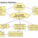 Summary of dissemination pathways. N. Geeson.