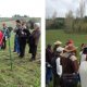 400 farmers from Yumbel visited the demonstration experiments on 2 October 2009.