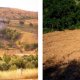 Left: Wildfire in rangeland produced by residue burning activity – close to rendina Reservoir (Sept. 2008) Right: Intense rilling (Sept 2008)