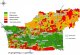 Degree of soil erosion estimated during the soil survey of the Messara valley <br>