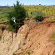 Example of erosion in the study area.