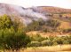 Wildfire in rangeland produced by residue burning activity – close to Rendina Reservoir (Sept. 2008)<br><br>