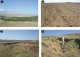 Various aspects of land degradation in Eskisehir study site. <br>1-Cropland intrusion through degraded oak forest; 2-Wrong tillage direction and resulting gully ero-sion; <br>3-Soil trade as an industrial material (Uludere village); 4-Deep active gully erosion in a pasture land.<br><br>