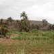 Irrigated lands in Jaracunda - arid littoral zone (photo by J. Tavares in 2005)