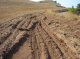 Concentrated water erosion at field border before residue burning activities (Sept 2008)<br><br>