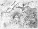 Topography and structure of Atecuaro caldera, showing the structure E-W and EN-SW more important of the region (Garduño VH, 1999)