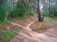 Flood water coming through the forest from an access road, during heavy rainfall (© Christian Prat, 2008)