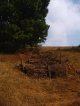 Erosion control using branch dams (© Christian Prat, 2006)