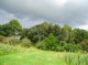 Rio Grande landscape, of corn field and fallow, during the rainy season (© Christian Prat, 2007)<br>