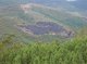 Camelo wildfire-affected scrub site, July 2008<br>