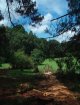 Mixed landscape of fields and forest with remains of an illegally felled tree (© Christian Prat, 2008)