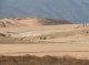 Levelled land for lettuce plantation in the Torrealvilla catchment, August 2007 (Photo by J. de Vente).